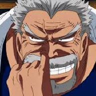 Garp the Fist